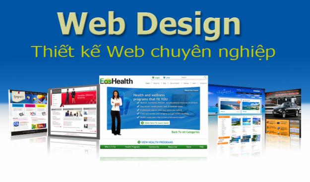 Thiết kế web giá rẻ tại Bình Định