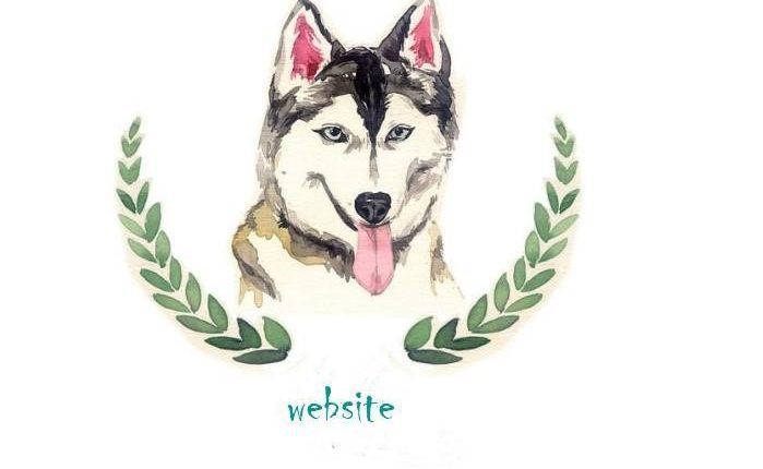 Thiết kế website thú cưng cho ai đang muốn mở cửa hàng thú cưng