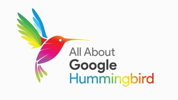 Tìm hiểu về Hummingbird công cụ hỗ trợ thiết kế website chuẩn SEO